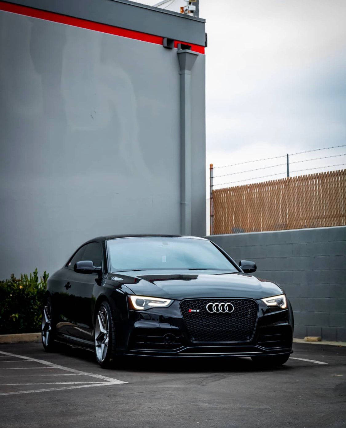 Audi RS5 Honeycomb Front Grille | (2013-2016) B8.5 A5/S5