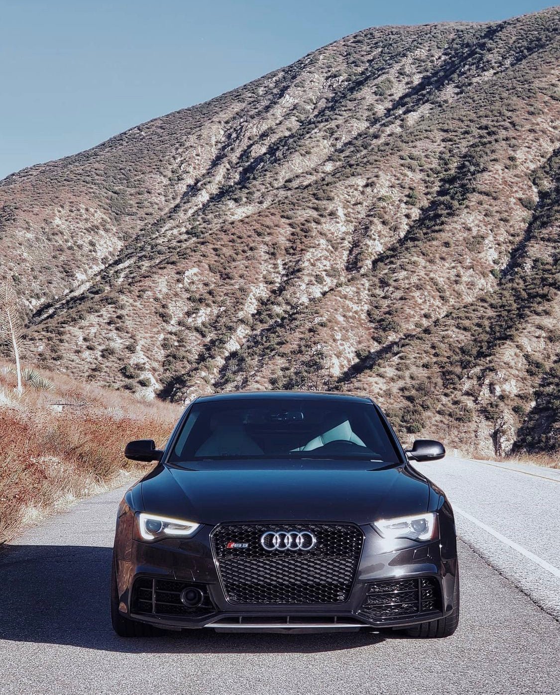 Audi RS5 Honeycomb Front Grille | (2013-2016) B8.5 A5/S5