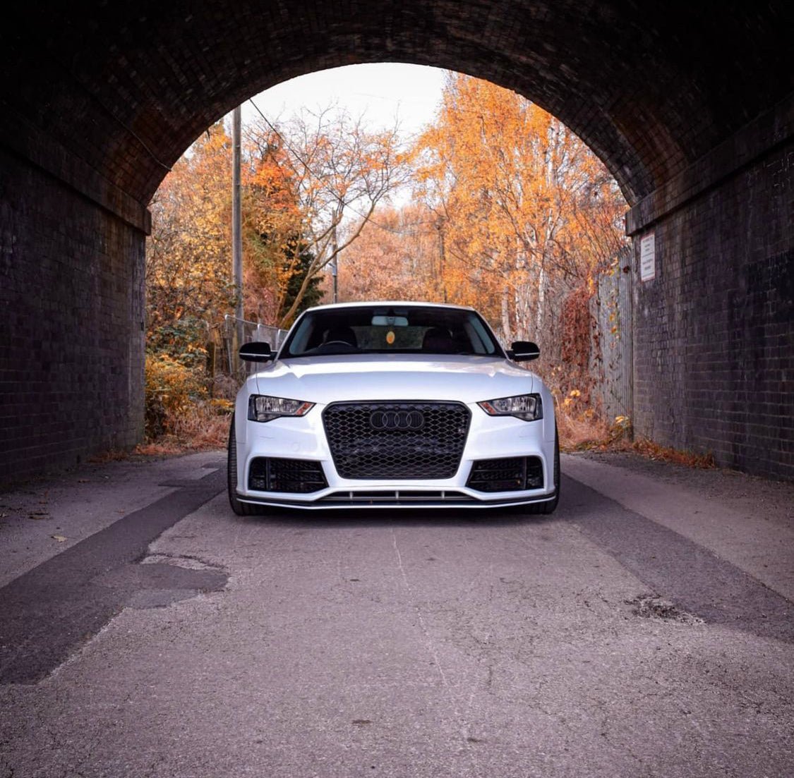 Audi RS5 Honeycomb Front Grille | (2013-2016) B8.5 A5/S5