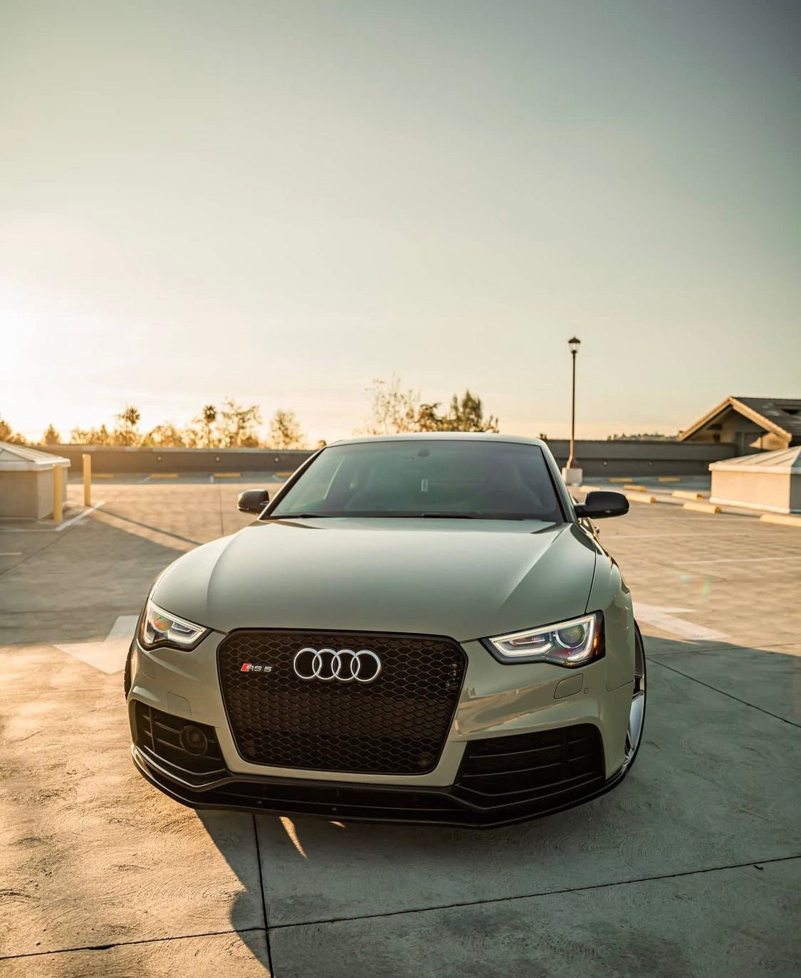Audi RS5 Honeycomb Front Grille | (2013-2016) B8.5 A5/S5