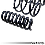 034 Motorsport Dynamic+ Lowering Springs - BMW / F3X / 320i / 328i / 330i / 335i / 340i / 420i / 428i / 430i / 435i / 440i