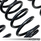 034 Motorsport Dynamic+ Lowering Springs - Audi B8 / B8.5 / A5 / S5