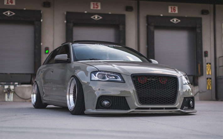 Audi RS3 Honeycomb Front Grille | (2005-2008) 8P A3/S3